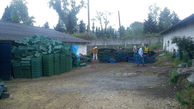 Solucan Gübresi Üretimi Nasıl Yapılır