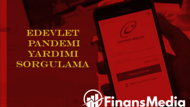 Edevlet Pandemi Yardımı Sorgulama