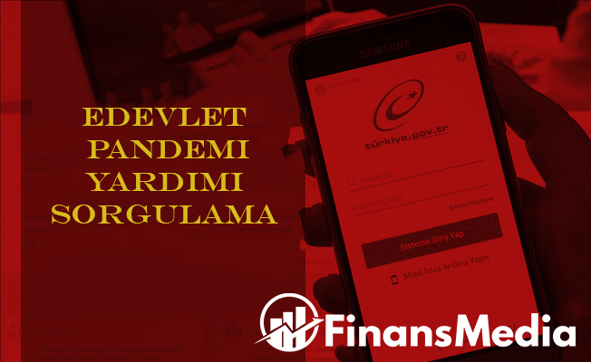 Edevlet Pandemi Yardımı Sorgulama