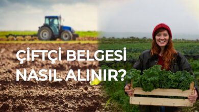 ÇKS Belgesi için Gerekli Belgeler
